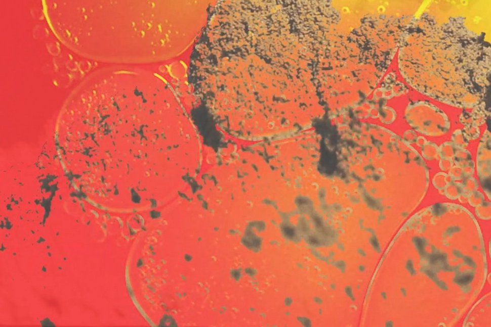 The Birth of Urana Remix