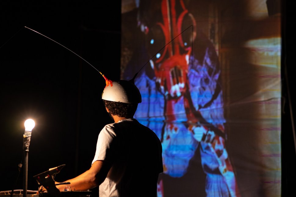 Collective Intelligence at Work: Of Ants and Algorithms