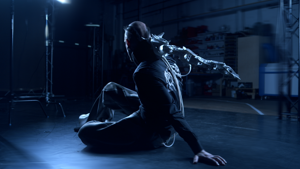 Fase de Cicatrización